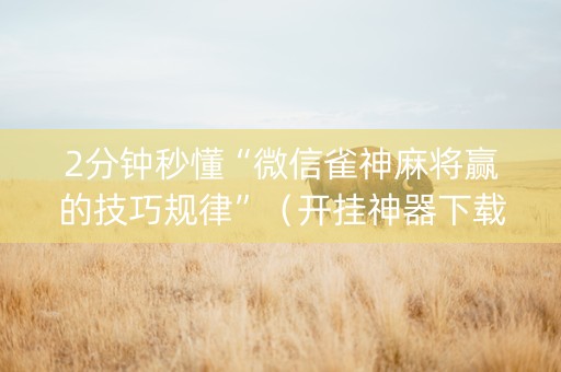 2分钟秒懂“微信雀神麻将赢的技巧规律”（开挂神器下载)
