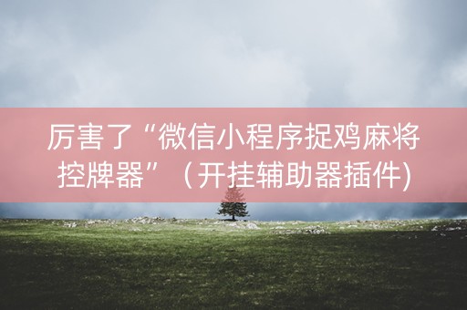 厉害了“微信小程序捉鸡麻将控牌器”（开挂辅助器插件)