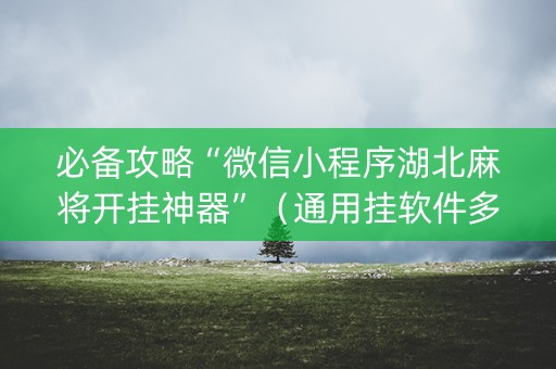 必备攻略“微信小程序湖北麻将开挂神器”（通用挂软件多少钱)