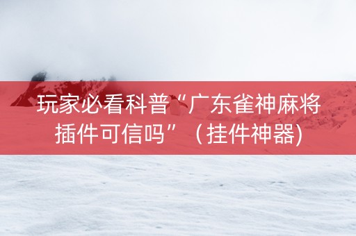 玩家必看科普“广东雀神麻将插件可信吗”（挂件神器)