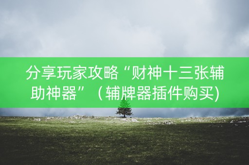 分享玩家攻略“财神十三张辅助神器”（辅牌器插件购买)