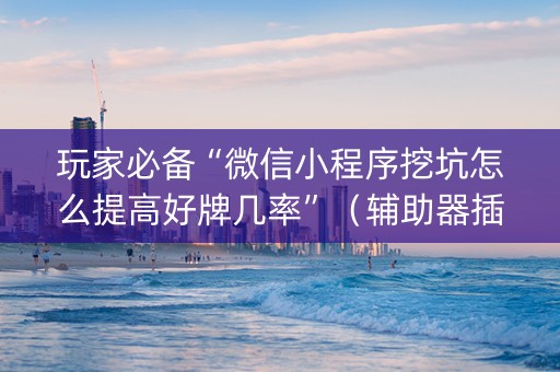 玩家必备“微信小程序挖坑怎么提高好牌几率”（辅助器插件)