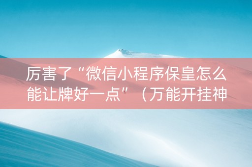 厉害了“微信小程序保皇怎么能让牌好一点”（万能开挂神器)