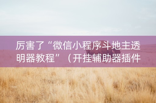 厉害了“微信小程序斗地主透明器教程”（开挂辅助器插件)