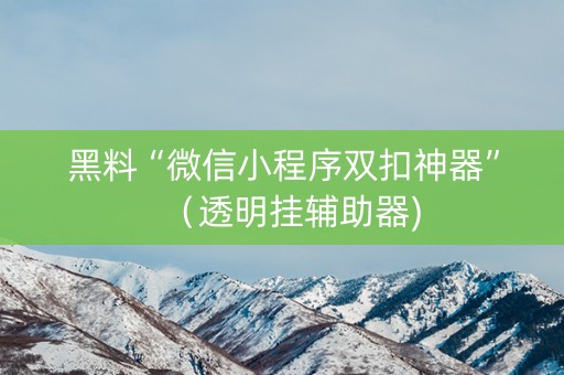 黑料“微信小程序双扣神器”（透明挂辅助器)