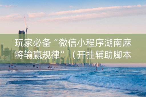玩家必备“微信小程序湖南麻将输赢规律”（开挂辅助脚本)