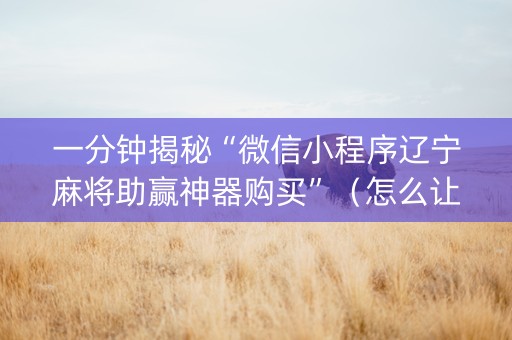 一分钟揭秘“微信小程序辽宁麻将助赢神器购买”（怎么让系统给你发好牌)