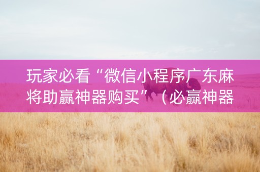 玩家必看“微信小程序广东麻将助赢神器购买”（必赢神器)