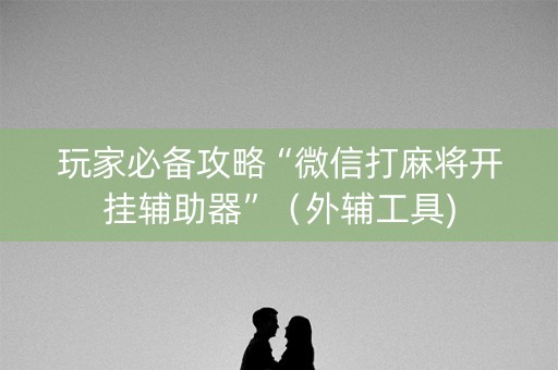 玩家必备攻略“微信打麻将开挂辅助器”（外辅工具)
