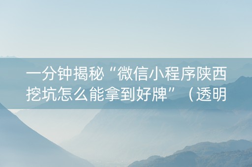 一分钟揭秘“微信小程序陕西挖坑怎么能拿到好牌”（透明挂辅助器)