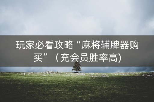 玩家必看攻略“麻将辅牌器购买”（充会员胜率高)