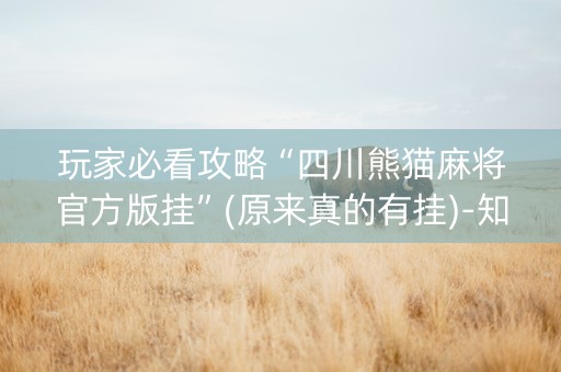 玩家必看攻略“四川熊猫麻将官方版挂”(原来真的有挂)-知乎