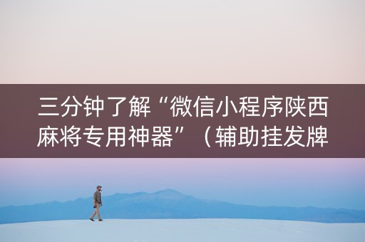 三分钟了解“微信小程序陕西麻将专用神器”（辅助挂发牌规律)