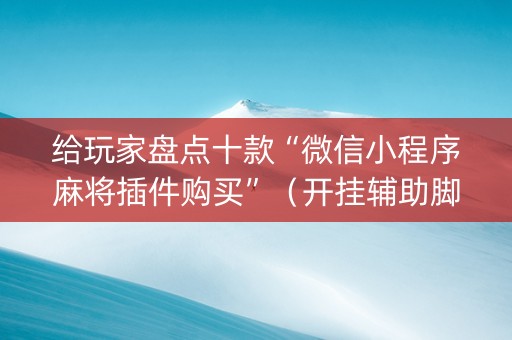 给玩家盘点十款“微信小程序麻将插件购买”（开挂辅助脚本)