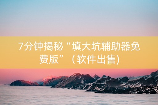 7分钟揭秘“填大坑辅助器免费版”（软件出售)