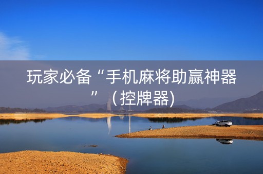 玩家必备“手机麻将助赢神器”（控牌器)