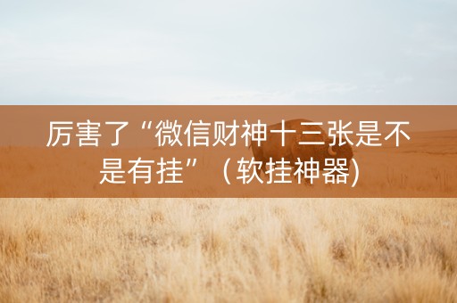厉害了“微信财神十三张是不是有挂”（软挂神器)