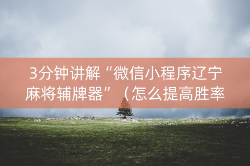 3分钟讲解“微信小程序辽宁麻将辅牌器”（怎么提高胜率)