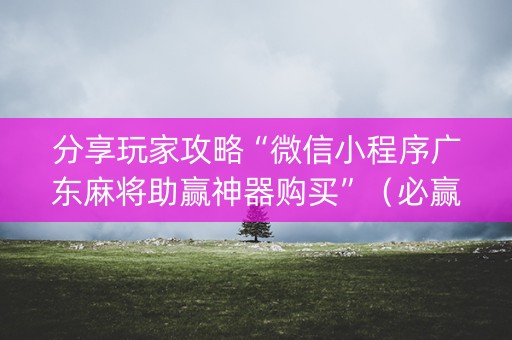 分享玩家攻略“微信小程序广东麻将助赢神器购买”（必赢神器)
