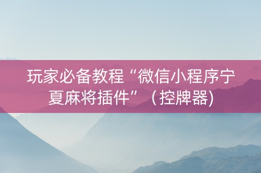 玩家必备教程“微信小程序宁夏麻将插件”（控牌器)