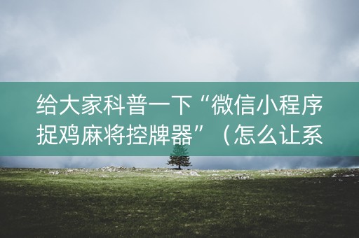 给大家科普一下“微信小程序捉鸡麻将控牌器”（怎么让系统给自己好牌)