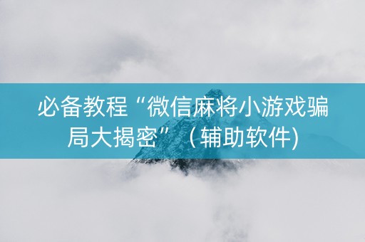 必备教程“微信麻将小游戏骗局大揭密”（辅助软件)