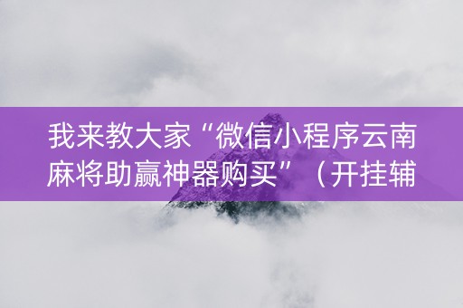 我来教大家“微信小程序云南麻将助赢神器购买”（开挂辅助脚本)