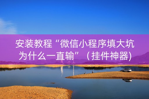 安装教程“微信小程序填大坑为什么一直输”（挂件神器)