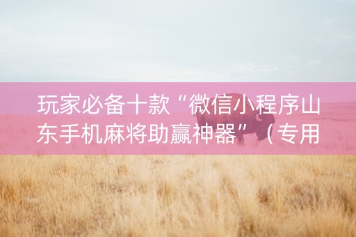 玩家必备十款“微信小程序山东手机麻将助赢神器”（专用神器下载)