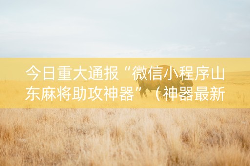 今日重大通报“微信小程序山东麻将助攻神器”（神器最新免费)