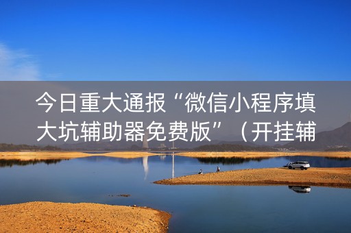 今日重大通报“微信小程序填大坑辅助器免费版”（开挂辅助器脚本)