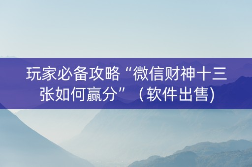玩家必备攻略“微信财神十三张如何赢分”（软件出售)