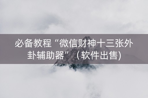 必备教程“微信财神十三张外卦辅助器”（软件出售)
