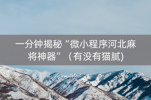 一分钟揭秘“微小程序河北麻将神器”（有没有猫腻)