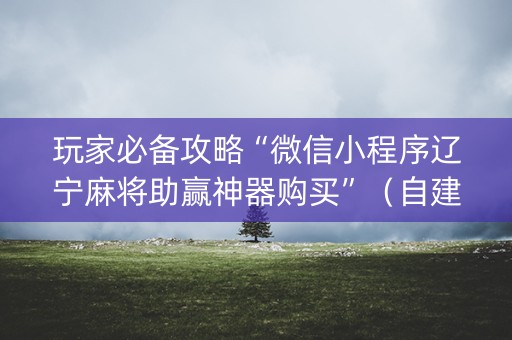 玩家必备攻略“微信小程序辽宁麻将助赢神器购买”（自建房怎么赢)