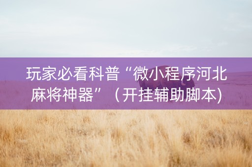 玩家必看科普“微小程序河北麻将神器”（开挂辅助脚本)