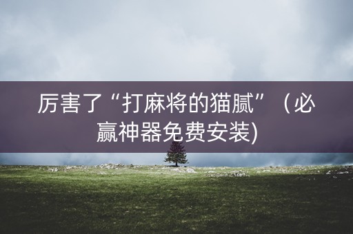 厉害了“打麻将的猫腻”（必赢神器免费安装)