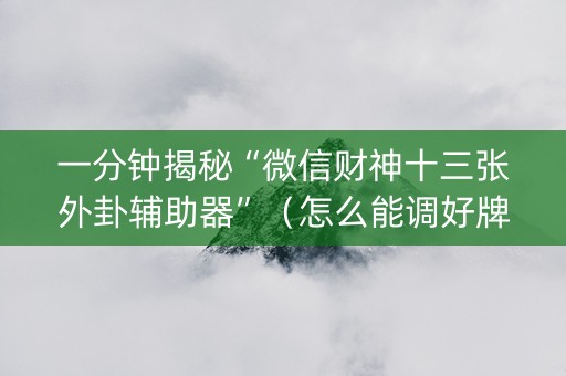 一分钟揭秘“微信财神十三张外卦辅助器”（怎么能调好牌)