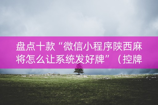 盘点十款“微信小程序陕西麻将怎么让系统发好牌”（控牌器)