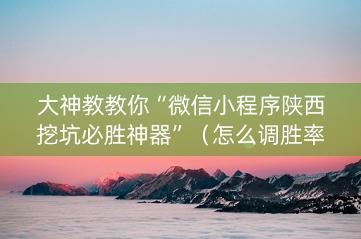 大神教教你“微信小程序陕西挖坑必胜神器”（怎么调胜率)