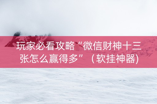 玩家必看攻略“微信财神十三张怎么赢得多”（软挂神器)