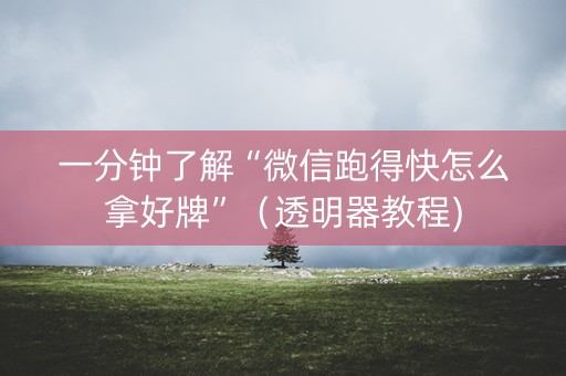一分钟了解“微信跑得快怎么拿好牌”（透明器教程)