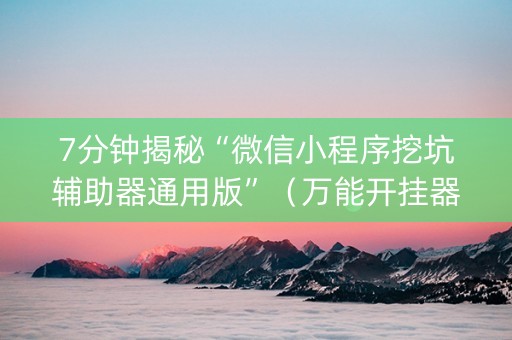 7分钟揭秘“微信小程序挖坑辅助器通用版”（万能开挂器)