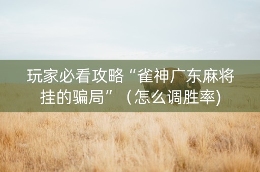 玩家必看攻略“雀神广东麻将挂的骗局”（怎么调胜率)
