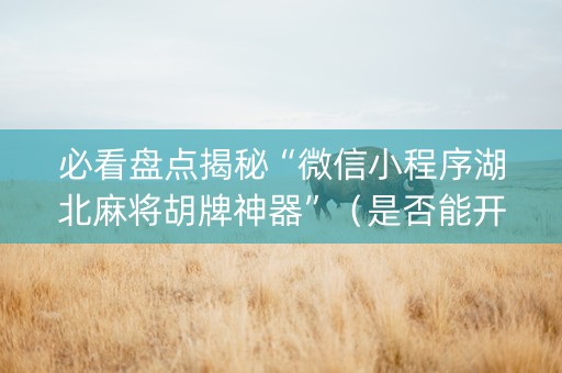 必看盘点揭秘“微信小程序湖北麻将胡牌神器”（是否能开挂)