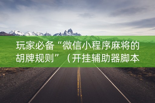 玩家必备“微信小程序麻将的胡牌规则”（开挂辅助器脚本)