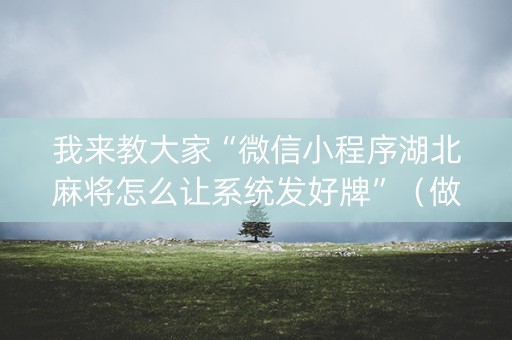 我来教大家“微信小程序湖北麻将怎么让系统发好牌”（做弊器软件下载)
