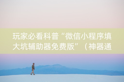 玩家必看科普“微信小程序填大坑辅助器免费版”（神器通用版)