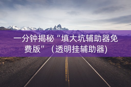 一分钟揭秘“填大坑辅助器免费版”（透明挂辅助器)