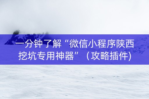 一分钟了解“微信小程序陕西挖坑专用神器”（攻略插件)